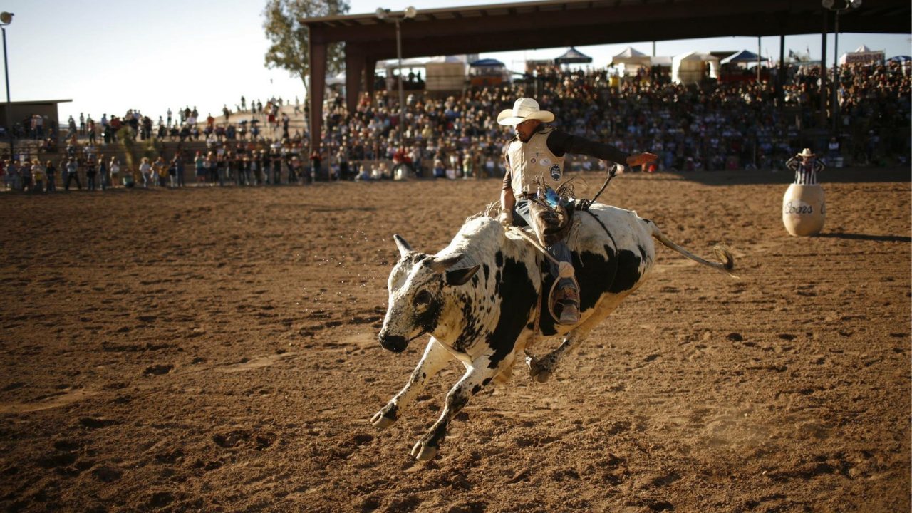 Gold Rush Days Senior Pro Rodeo draws hundreds of spectators.